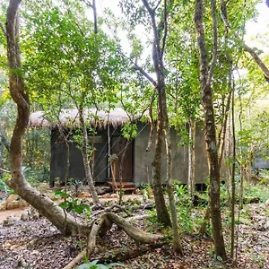 Ojo De Agua. Design+pool. Vive La Autentica Selva! , Tulum México